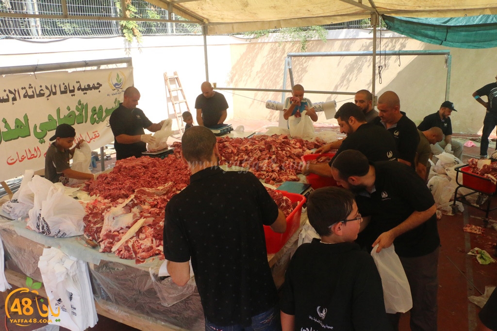 ada7y forthei (11).JPG